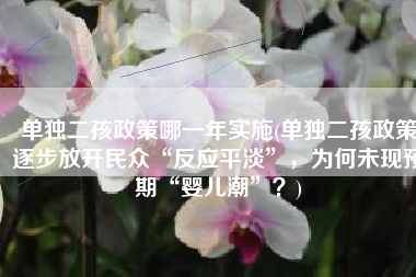 单独二孩政策哪一年实施(单独二孩政策逐步放开民众“反应平淡”，为何未现预期“婴儿潮”？)