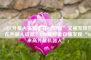 51区外星人实验事件(“51区”又被发现存在外星人证据？UFO爱好者自曝发现“16米高外星机器人”)