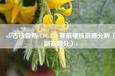 ufc古铁雷斯(UFC 273 赛前硬核前瞻分析（副赛部分）)