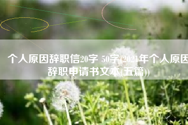 个人原因辞职信20字 50字(2021年个人原因辞职申请书文本(五篇))