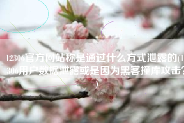 12306官方网站称是通过什么方式泄露的(12306用户数据泄露或是因为黑客撞库攻击？)