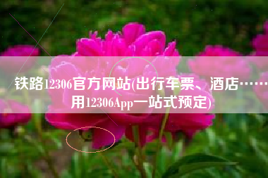铁路12306官方网站(出行车票、酒店……用12306App一站式预定)