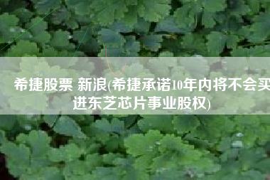 希捷股票 新浪(希捷承诺10年内将不会买进东芝芯片事业股权)