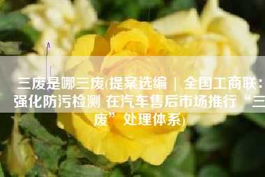 三废是哪三废(提案选编 | 全国工商联：强化防污检测 在汽车售后市场推行“三废”处理体系)