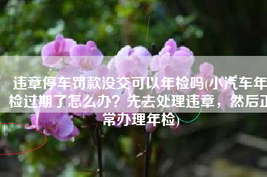 违章停车罚款没交可以年检吗(小汽车年检过期了怎么办？先去处理违章，然后正常办理年检)