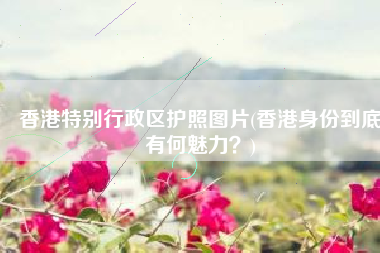 香港特别行政区护照图片(香港身份到底有何魅力？)