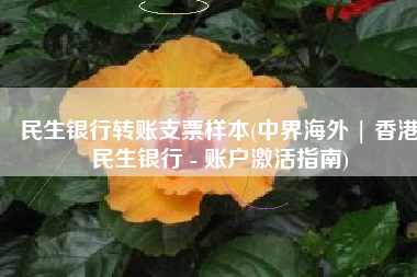 民生银行转账支票样本(中界海外 | 香港民生银行 - 账户激活指南)