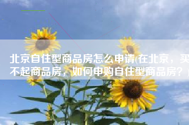 北京自住型商品房怎么申请(在北京，买不起商品房，如何申购自住型商品房？)