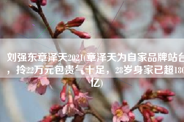 刘强东章泽天2021(章泽天为自家品牌站台，拎22万元包贵气十足，28岁身家已超1800亿)