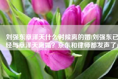 刘强东章泽天什么时候离的婚(刘强东已经与章泽天离婚？京东和律师都发声了)