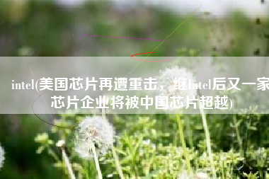 intel(美国芯片再遭重击，继Intel后又一家芯片企业将被中国芯片超越)