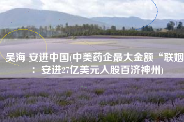 吴海 安进中国(中美药企最大金额“联姻”：安进27亿美元入股百济神州)