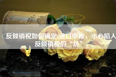反倾销税如何确定(进口申报，小心陷入反倾销税的“坑”)