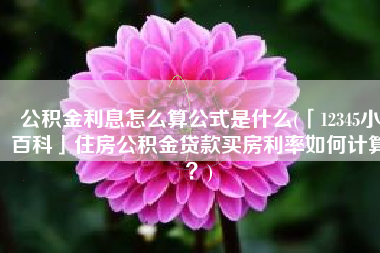 公积金利息怎么算公式是什么(「12345小百科」住房公积金贷款买房利率如何计算？)