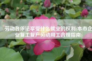 劳动者依法享受什么就业的权利(本市企业复工复产劳动用工合规指南)