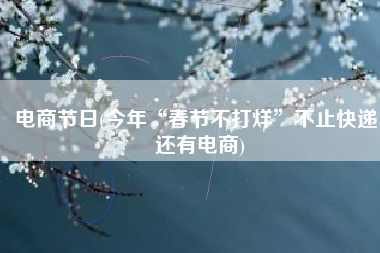 电商节日(今年“春节不打烊”不止快递，还有电商)