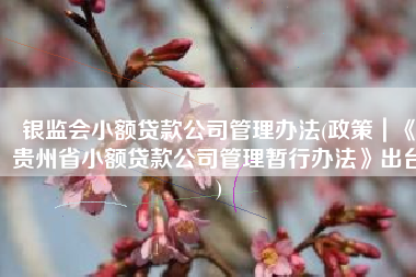 银监会小额贷款公司管理办法(政策｜《贵州省小额贷款公司管理暂行办法》出台)