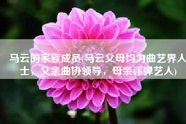 马云的家族成员(马云父母均为曲艺界人士，父亲曲协领导，母亲评弹艺人)