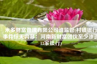 米多财富管理有限公司谁监管(村镇银行事件惊天内幕：河南新财富团伙至少渗透13家银行)