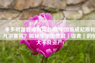 米多财富管理有限公司(中国版威尼斯和凡尔赛宫？揭秘华尔街秃鹫「误食」的恒大不良资产)