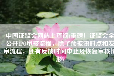 中国证监会网站上查询(重磅！证监会全公开IPO审核流程，除了预披露时点和发审流程，还有反馈时间中止及恢复审核情形)
