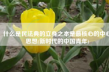 什么是民法典的立身之本是最核心的中心思想(新时代的中国青年)