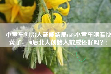 小黄车创始人戴威结局(ofo小黄车眼看快黄了，90后北大创始人戴威还好吗？)