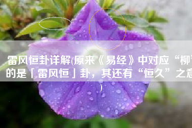 雷风恒卦详解(原来《易经》中对应“柳”的是「雷风恒」卦，其还有“恒久”之意)