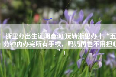 浙里办出生证明查询(玩转浙里办丨“五分钟内办完所有手续，妈妈再也不用担心”)