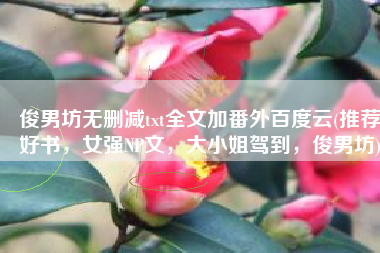 俊男坊无删减txt全文加番外百度云(推荐好书，女强NP文，大小姐驾到，俊男坊)