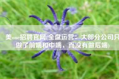 美one招聘官网(全盘运营：大部分公司只做了前端和中端，而没有做后端)