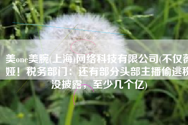 美one美腕(上海)网络科技有限公司(不仅薇娅！税务部门：还有部分头部主播偷逃税没披露，至少几个亿)