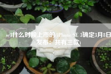 se3什么时候上市的(iPhone SE 3确定3月8日发布：共有三款)