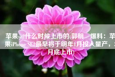 苹果se2什么时候上市的(郭明錤爆料：苹果iPhone SE2最早将于明年1月投入量产，3月底上市)