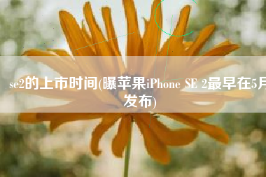 se2的上市时间(曝苹果iPhone SE 2最早在5月发布)