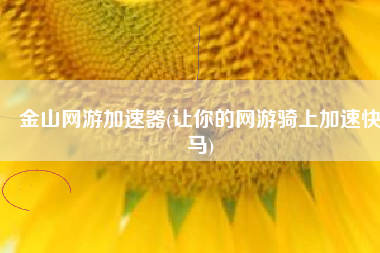金山网游加速器(让你的网游骑上加速快马)