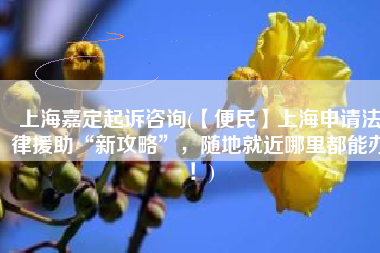 上海嘉定起诉咨询(【便民】上海申请法律援助“新攻略”，随地就近哪里都能办！)