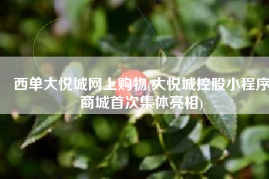 西单大悦城网上购物(大悦城控股小程序商城首次集体亮相)