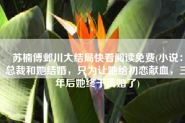 苏楠傅邺川大结局快看阅读免费(小说：总裁和她结婚，只为让她给初恋献血，三年后她终于离婚了)