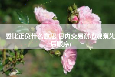 委比正负什么意思(日内交易耐心观察先后顺序)