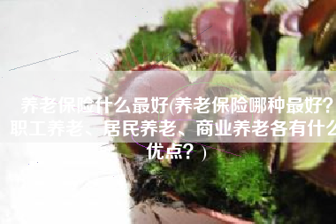 养老保险什么最好(养老保险哪种最好？职工养老、居民养老、商业养老各有什么优点？)