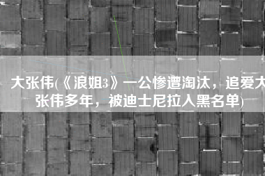 大张伟(《浪姐3》一公惨遭淘汰，追爱大张伟多年，被迪士尼拉入黑名单)