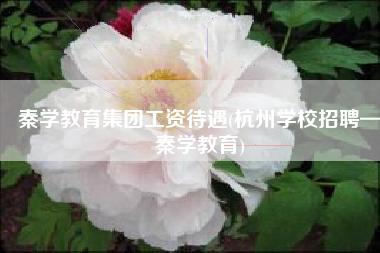 秦学教育集团工资待遇(杭州学校招聘—秦学教育)
