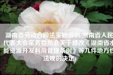 湖南省劳动合同法实施细则(湖南省人民代表大会常务委员会关于修改《湖南省水能资源开发利用管理条例》等九件地方性法规的决定)