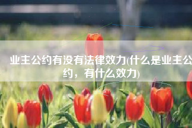业主公约有没有法律效力(什么是业主公约，有什么效力)