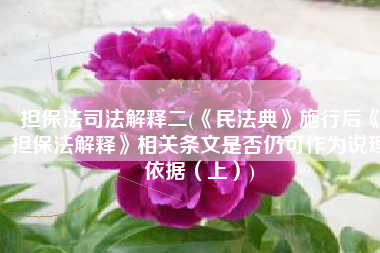 担保法司法解释二(《民法典》施行后《担保法解释》相关条文是否仍可作为说理依据（上）)