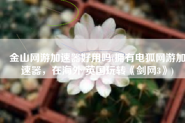 金山网游加速器好用吗(拥有电狐网游加速器，在海外/英国玩转《剑网3》)