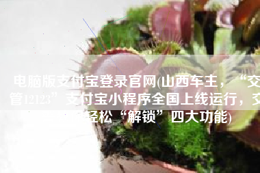 电脑版支付宝登录官网(山西车主，“交管12123”支付宝小程序全国上线运行，交警教你轻松“解锁”四大功能)