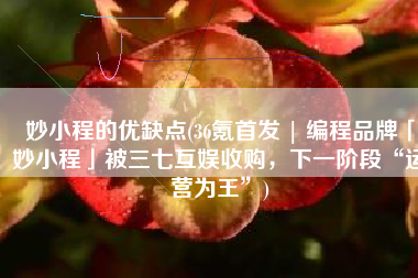 妙小程的优缺点(36氪首发 | 编程品牌「妙小程」被三七互娱收购，下一阶段“运营为王”)