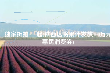 独家折扣 一起(铁西区将累计发放100万元惠民消费券)